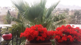 به تو تقدیم می کنم : به تو در  تهران ، اصفهان ، مشهد ، کرج ، تبریز، شیراز ، اهواز ،  قم ، سمنان ، کرمانشاه ، ارومیه ، رشت ، زاهدان ، کرمان ، اراک ، همدان ، یزد ، اردبیل ،  بندرعباس ، زنجان ، قزوین ، سنندج ، خرم آباد ، گرگان ، ساری ، بجنورد ، بوشهر ، بیرجند ، ایلام ، شهرکرد ، یاسوج ، مراغه ، مرند ، میانه ، اهر ، بناب ، سراب ، آذرشهر ، عجب شیر ، ملکان ، شبستر ، هشترود ، جلفا ، خوی ، بوکان ، مهاباد ، میاندوآب ، سلماس ، پیرانشهر ، نقده ، ماکو ، سردشت ، شاهین دژ ، پارس آباد ، مشکین شهر ، خلخال ، گرمی ، کاشان ، خمینی شهر ، نجف آباد ، شاهین شهر ، شهرضا ، خوراسگان ، فولادشهر ، مبارکه ، بهارستان ، آران بیدگل ، زرین شهر ، گلپایگان ، درچه پیاز ، فلاورجان ، دولت آباد ، قهدریجان ، نائین ، سمیرم ، کلیشاد ، گلدشت ، خورزوق ، ابریشم ، خوانسار ، گز ، سپاهان شهر ، فریدون شهر ، نطنز ، اردستان ، فریدن ، چادگان ، کمال شهر ، نظر آباد ،  محمد شهر ، ساوجبلاغ ، مشکین دشت ، هشنگرد ، ماهدشت ، دهلران ، ایوان ، آبدانان ، برازجان ، بندر کنگان ، بندر گناوه ، دیلم ، خورموج ،  اسلامشهر ، ملارد ، قدس ، گلستان ، شهریار ، ورامین ، پاکدشت ، دماوند ، پردیس ، بروجن ، لردگان ، فرخ شهر ، اردل ، فارسان ، قائن ، طبس ، فردوس ، نیشابور ، سبزوار ، تربت حیدریه ، کاشمر ، قوچان ، شیروان ، اسفراین ، دزفول ، آبادان ، خرمشهر ، بندر ماهشهر ، اندیمشک ، ایذه ، بهبهان ، شوشتر ، مسجد سلبمان ، ابهر ، خرمدره ، قیدار ، شاهرود ، دامغان ، گرمسار ، مهدیشهر ، شهمیرزاد ، سرخه ، زابل ، ایرانشهر ، چابهار ، سراوان ، خاش ، کنارک ، مرودشت ، جهرم ، فسا ، کازرون ، لار ، فیروزآباد ، داراب ، آباده ، نیریز ، استهبان ، اقلید ، الوند ، تاکستان ، آبیک ، بوئین زهرا ، سقز ، مریوان ، بانه ، قروه ، کامیاران ، بیجار ، سیرجان ، رفسنجان ، جیرفت ، بم ، زرند ، شهر بابک ، اسلام آباد غرب ، کنگاور ، جوانرود ، هرسین ، پاوه ، قصرشیرین ، گیلانغرب ، دوگنبدان ، دهدشت ، بهمنی ، گچساران ، دنا ، گنبد کاووس ، علی آباد کتول ، بندر ترکمن ، صومعه سرا ، آستانه اشرفیه ، آزادشهر ، رامیان ، آق قلا ، بندر گز ، بندر ترکمن ، انزلی ، لاهیجان ، لنگرود ، هشتبر ، آستارا ، رودسر ، فومن ، ماسوله ، رضوانشهر ، رودبار ، تالش ، بروجرد ، درود ، کوهدشت ، الیگودرز ، نور آباد ، ازنا ، الشتر ، پلدختر ، آمل ، بابل ، قائمشهر ، بهشر ، نکا ، بابلسر ، چالوس ، تنکابن ، نوشهر ، فریدون کنار ، رامسر ، ساوه ، خمین ، محلات ، دلیجان، آشتیان ، تفرش ، میناب ، دهبارز ، بندر لنگه ، قشم ، کیش ، هرمز ، ابوموسی ، ملایر ، نهاوند ، اسد آباد ، تویسرکان ، بهار ، کبودرآهنگ ، میبد ، اردکان ، حمیدیا ، بافق ، مهریز ، صدوق ، سنگسر ، و  ....  پاکزادیان      